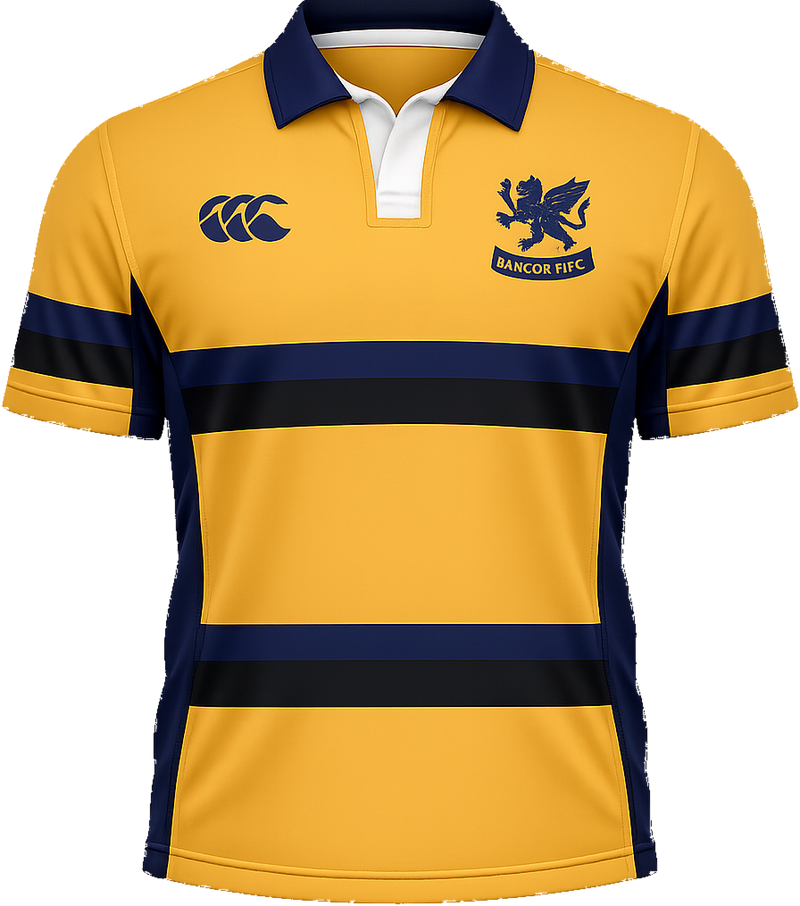 The tour playing jersey in Bangor gold and navy, with the centre of the chest marked as the position for sale